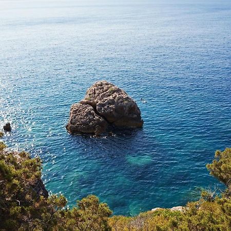 Villa Pod Borom Sveta Nedelja  Exteriér fotografie
